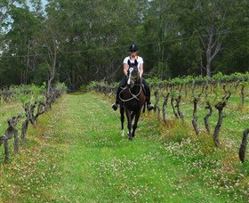 Port Macquarie Horse Riding Centre - Melbourne Tourism 1