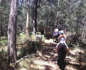 Port Macquarie Horse Riding Centre - Melbourne Tourism 4