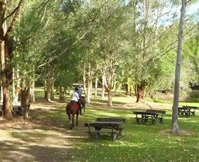 Port Macquarie Horse Riding Centre - Melbourne Tourism 6
