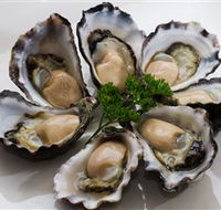 Tathra Oysters - Melbourne Tourism