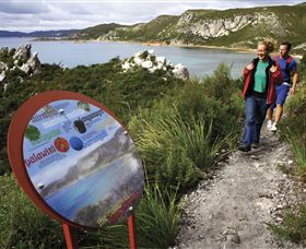Rocky Cape National Park - Melbourne Tourism 0