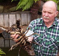 Lobster Ponds - Melbourne Tourism