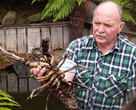 Lobster Ponds - Melbourne Tourism 0