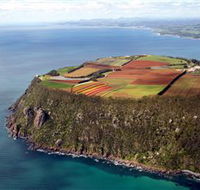 Table Cape - Melbourne Tourism