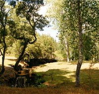 Oldina Picnic Area - Melbourne Tourism