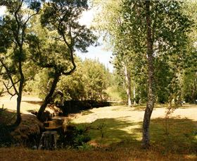 Oldina Picnic Area - Melbourne Tourism 0