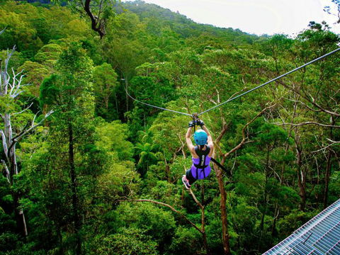 Canyon Flyer - Melbourne Tourism 4
