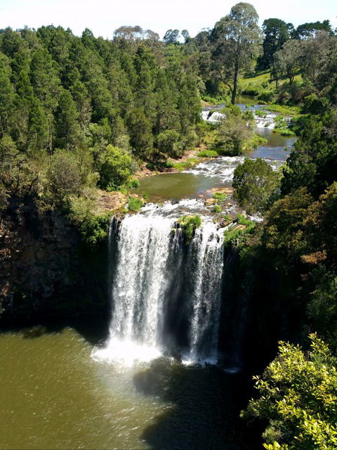 A1 Coffs Coast Tours - Melbourne Tourism 4