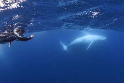 Sunreef Mooloolaba - Melbourne Tourism 3