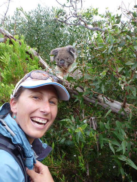 Auswalk Walking Holidays - Melbourne Tourism 3