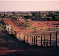 Tri State Safaris - Melbourne Tourism