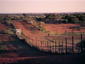 Tri State Safaris - Melbourne Tourism 3