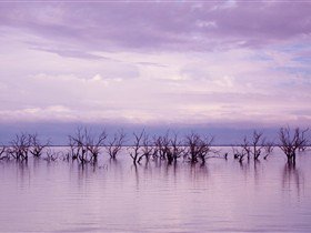 Tri State Safaris - Melbourne Tourism 9