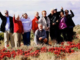 Tri State Safaris - Melbourne Tourism 15