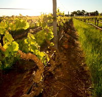 Kaesler Old Vine Vineyard Tour - Melbourne Tourism