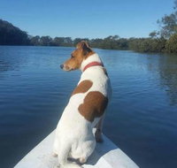 Australis Canoes  Kayaks - Melbourne Tourism