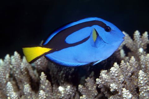 Cairns Marine - Melbourne Tourism 2
