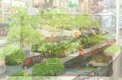 Warrawong Markets - Melbourne Tourism 2