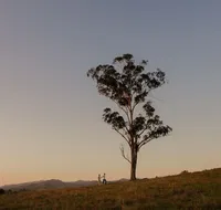 Faulls Ridge Winery - Melbourne Tourism