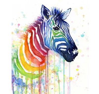 Rainbow Zebra - 65 Northbourne 7.30-9.30pm - Melbourne Tourism