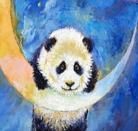 Panda Moon - Statesman Hotel 7.00-9.00pm - Melbourne Tourism