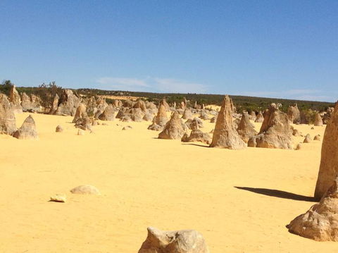 Pinnacles Desert, Koalas And Sandboarding 4WD Day Tour From Perth - Melbourne Tourism 15