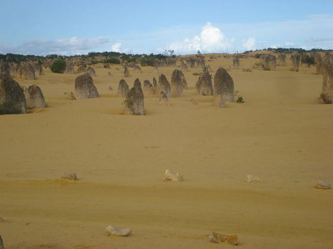 Pinnacles Desert, Koalas And Sandboarding 4WD Day Tour From Perth - Melbourne Tourism 23