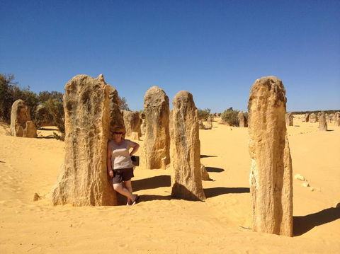 Pinnacles Desert, Koalas And Sandboarding 4WD Day Tour From Perth - Melbourne Tourism 17