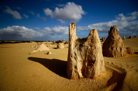 Pinnacles Desert, Koalas And Sandboarding 4WD Day Tour From Perth - Melbourne Tourism 6