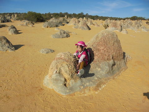 Pinnacles Desert, Koalas And Sandboarding 4WD Day Tour From Perth - Melbourne Tourism 7