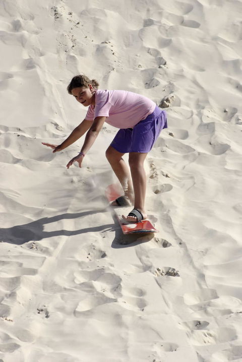 Pinnacles Desert, Koalas And Sandboarding 4WD Day Tour From Perth - Melbourne Tourism 24