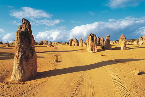 Pinnacles Desert, Koalas And Sandboarding 4WD Day Tour From Perth - Melbourne Tourism 0