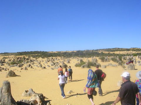 Pinnacles Desert, Koalas And Sandboarding 4WD Day Tour From Perth - Melbourne Tourism 25