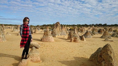 Pinnacles Desert, Koalas And Sandboarding 4WD Day Tour From Perth - Melbourne Tourism 13