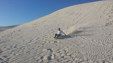 Pinnacles Desert, Koalas And Sandboarding 4WD Day Tour From Perth - Melbourne Tourism 14