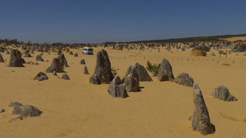 Pinnacles Desert, Koalas And Sandboarding 4WD Day Tour From Perth - Melbourne Tourism 4