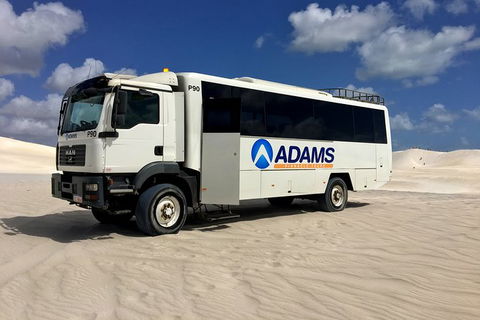 Pinnacles Desert, Koalas And Sandboarding 4WD Day Tour From Perth - Melbourne Tourism 28
