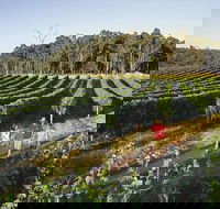 Margaret River Caves Wine and Cape Leeuwin Lighthouse Tour from Perth - Melbourne Tourism