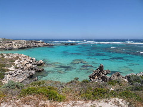 Rottnest Island Tour From Perth Or Fremantle Including Adventure Speed Boat Ride - Melbourne Tourism 3