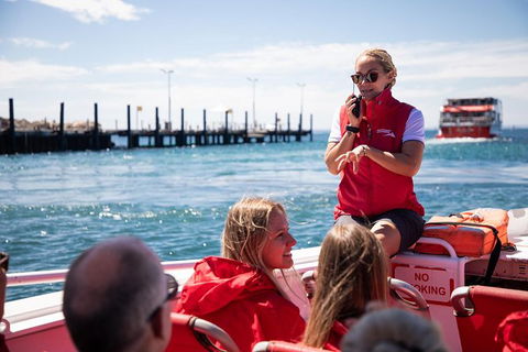 Rottnest Island Tour From Perth Or Fremantle Including Adventure Speed Boat Ride - Melbourne Tourism 0