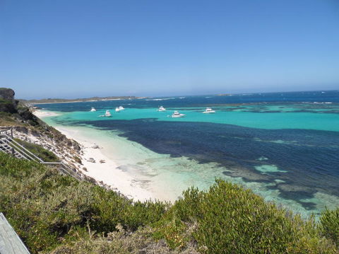 Rottnest Island Tour From Perth Or Fremantle Including Adventure Speed Boat Ride - Melbourne Tourism 2