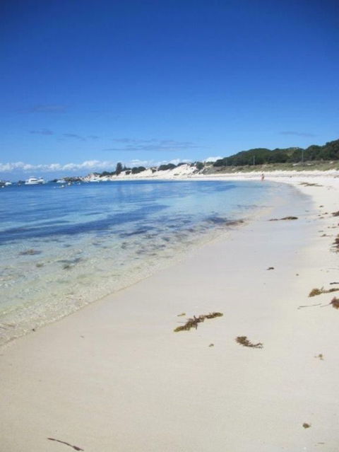 Rottnest Island Tour From Perth Or Fremantle Including Adventure Speed Boat Ride - Melbourne Tourism 4