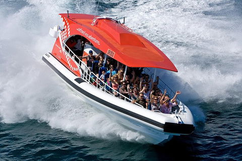 Rottnest Island Tour From Perth Or Fremantle Including Adventure Speed Boat Ride - Melbourne Tourism 11