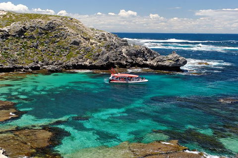 Rottnest Island Tour From Perth Or Fremantle Including Adventure Speed Boat Ride - Melbourne Tourism 10