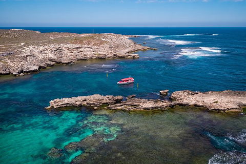 Rottnest Island Tour From Perth Or Fremantle Including Adventure Speed Boat Ride - Melbourne Tourism 13