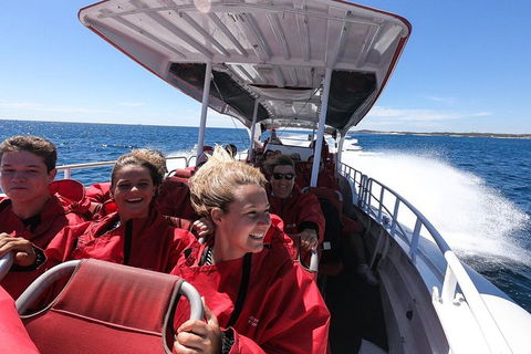 Rottnest Island Tour From Perth Or Fremantle Including Adventure Speed Boat Ride - Melbourne Tourism 8