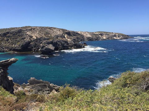 Rottnest Island Tour From Perth Or Fremantle Including Bus Tour - Melbourne Tourism 3