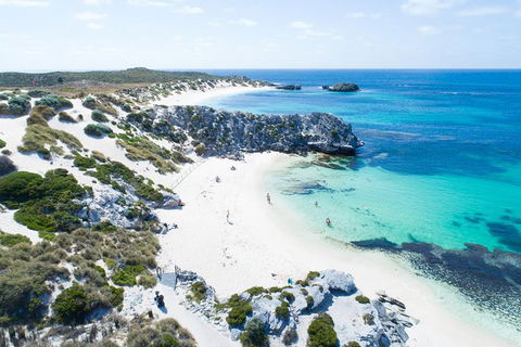 Rottnest Island Tour From Perth Or Fremantle Including Bus Tour - Melbourne Tourism 1
