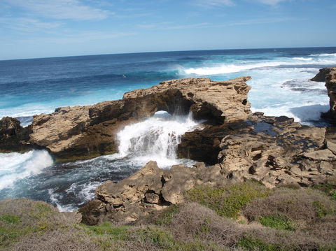 Rottnest Island Tour From Perth Or Fremantle Including Bus Tour - Melbourne Tourism 5