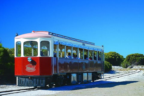 Rottnest Island Grand Tour Including Lunch And Historical Train Ride - Melbourne Tourism 1